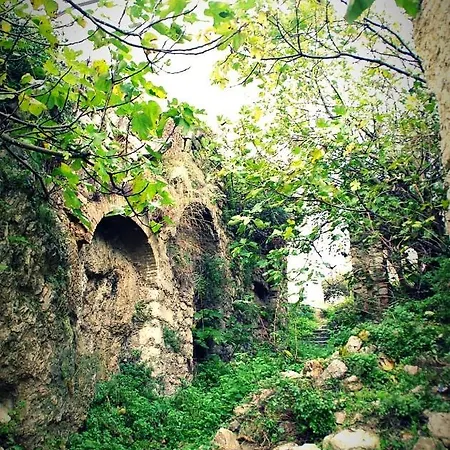 La Casa Dei Nonni * Musellaro